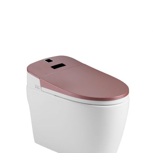 Thiết bị vệ sinh Lazion