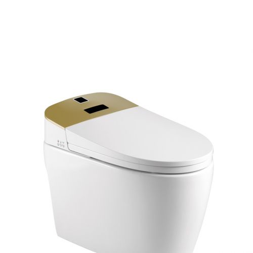 Thiết bị vệ sinh Lazion