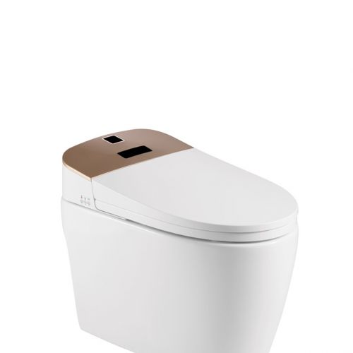 Thiết bị vệ sinh Lazion