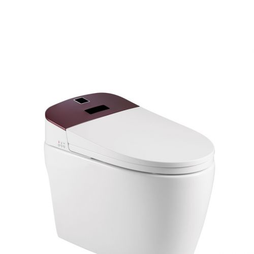 Thiết bị vệ sinh Lazion